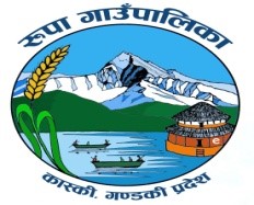 Local Government Logo